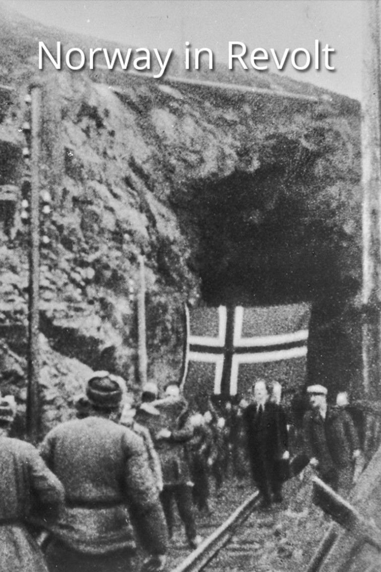 Norway in Revolt poster