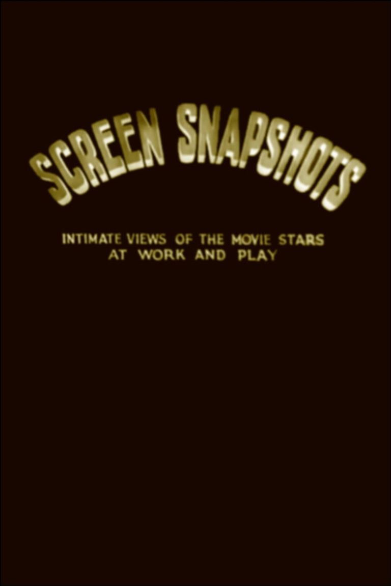 Hollywood in Uniform poster