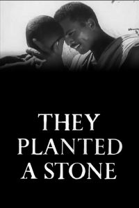 They Planted a Stone poster