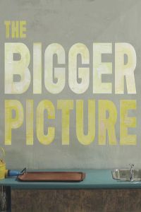 The Bigger Picture poster