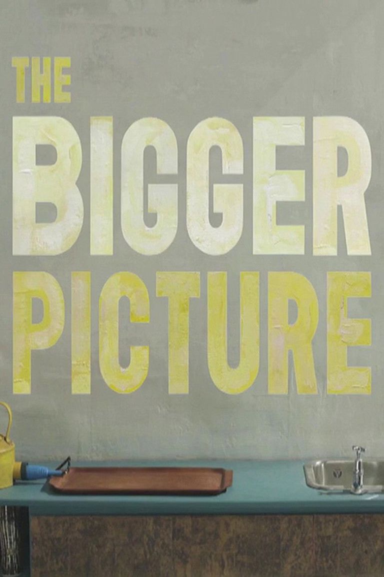 The Bigger Picture poster