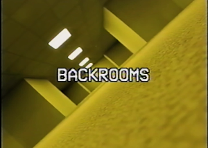 The Backrooms(2022) poster