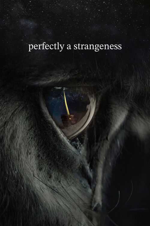 Perfectly a Strangeness poster